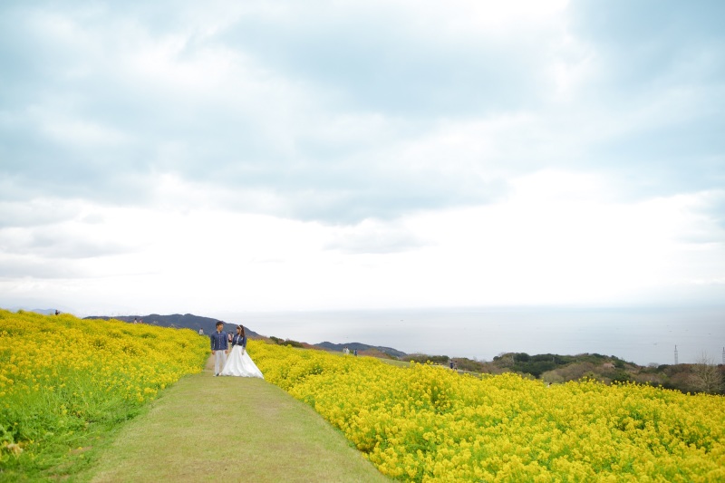 遠くひろがる景色と