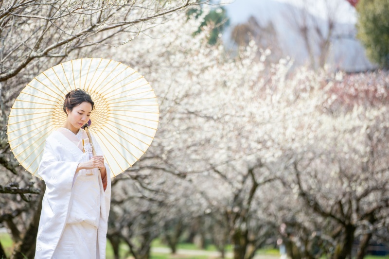 庭園内の梅林にて