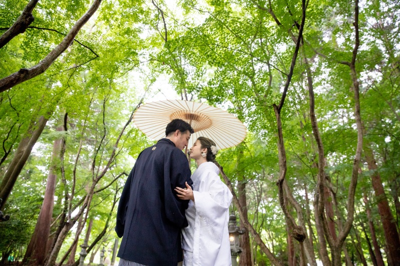 青紅葉の並木を