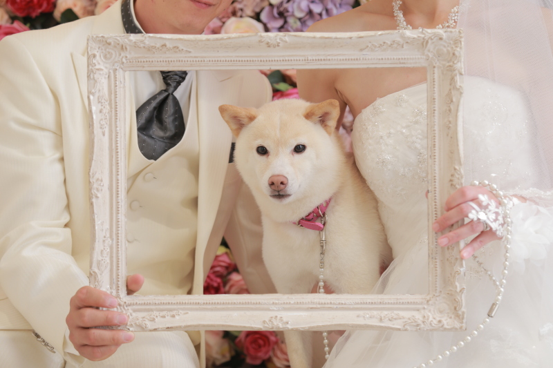 おやつをねだるのが上手な♪