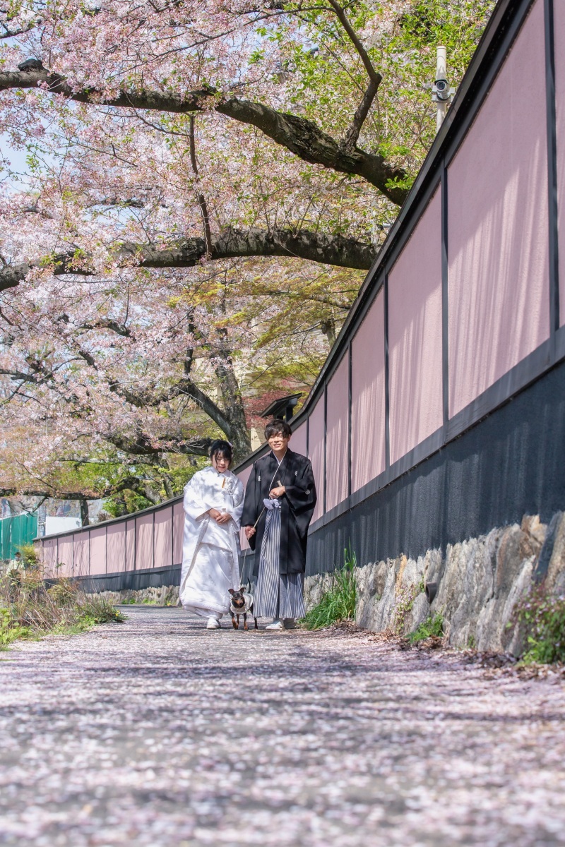 わんちゃんとのお散歩