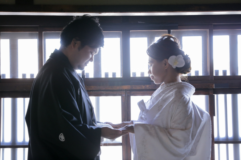 籍をいれたその日に