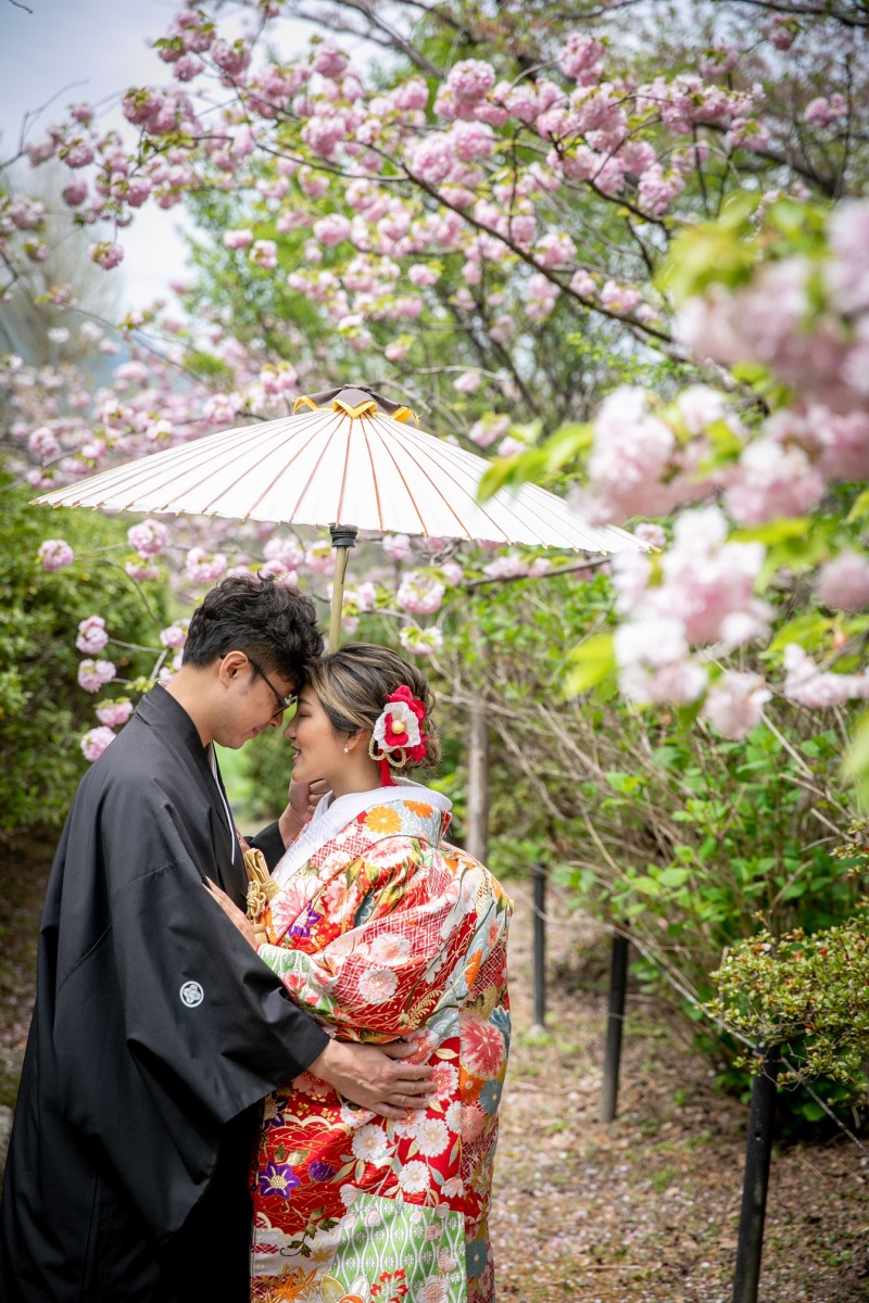 少しずつ晴れ間が射してきて