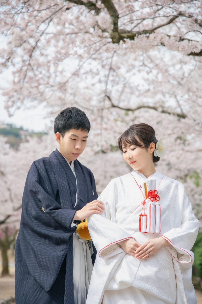 柔らかな空気感の中で