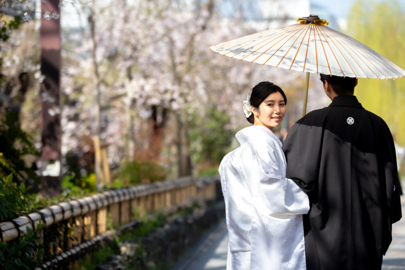 桜ロケーション