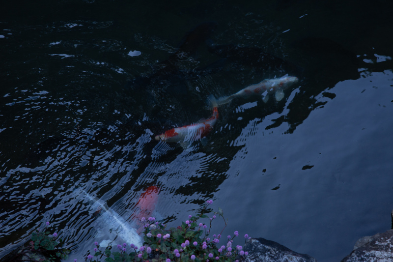 素敵な場面をさりげなく