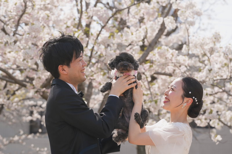 大切な家族の一員