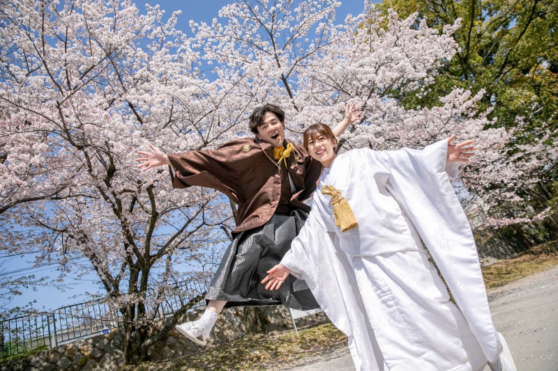 京都周遊桜撮影＋スタジオ撮影