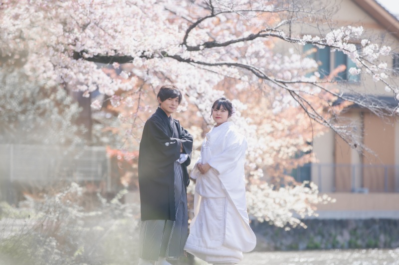 市内の水路へ移動して
