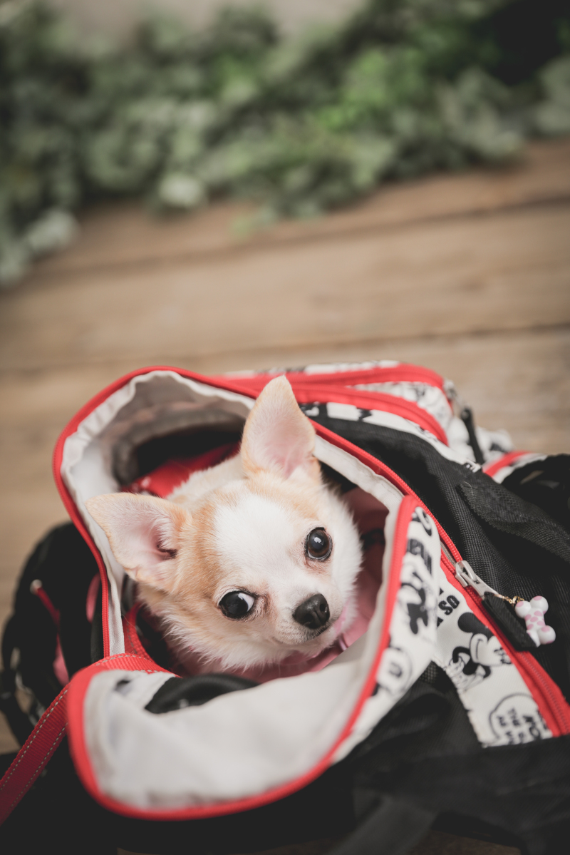 良い子で待ちます！！