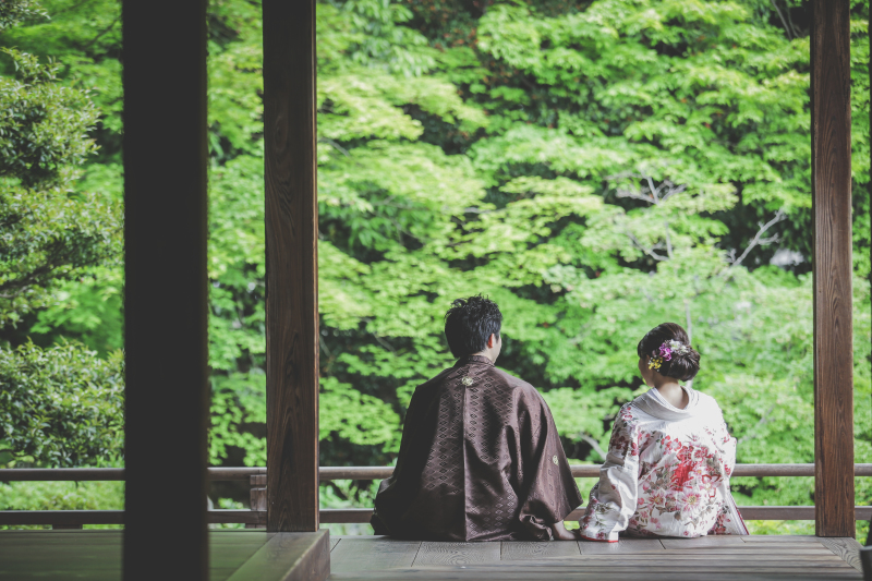 新緑がきれいです！