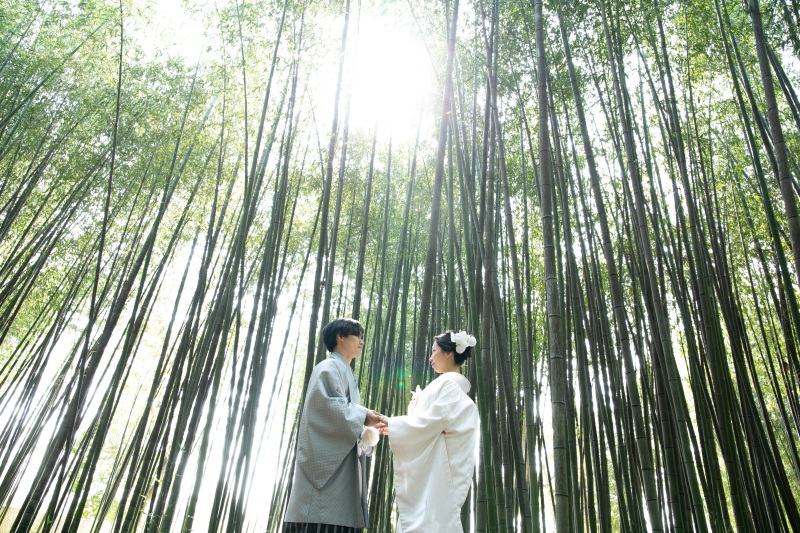 庭園内の竹林にて