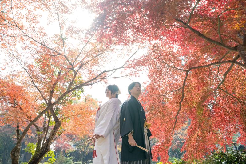 大原野神社＋梅宮大社　紅葉ロケーション