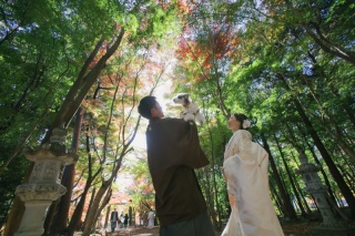 大原野神社ロケーション