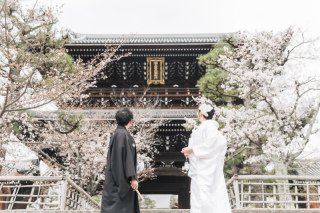 金戒光明寺での桜ロケーション