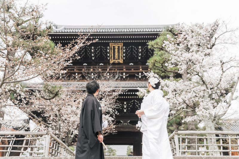 金戒光明寺での桜ロケーション