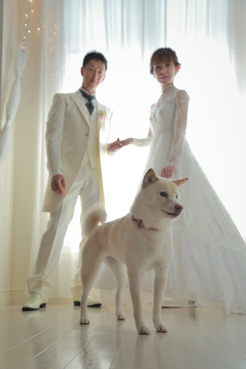 ジュディちゃんも