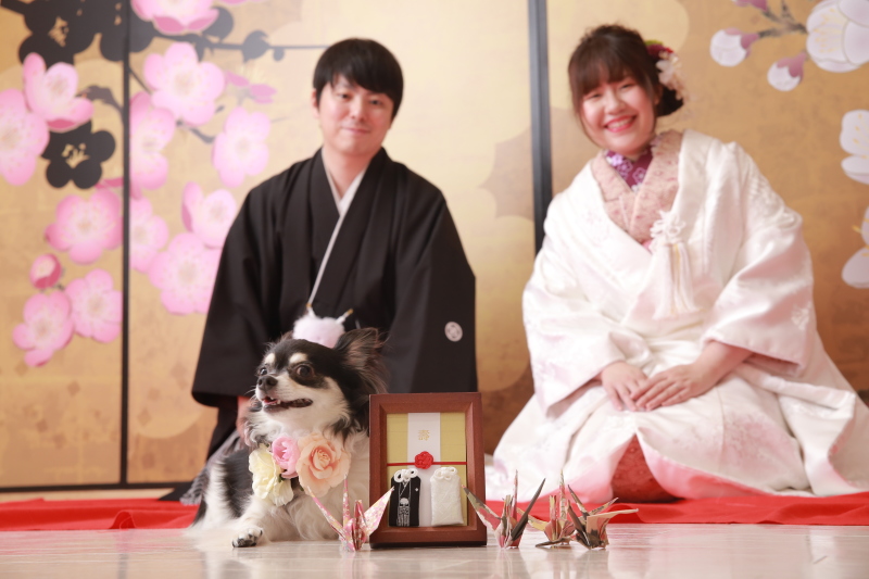 暴れて大変でした！