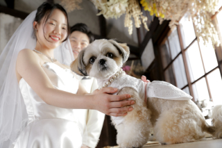 大好きなペットと一緒に
