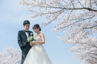 和洋装桜ロケーション