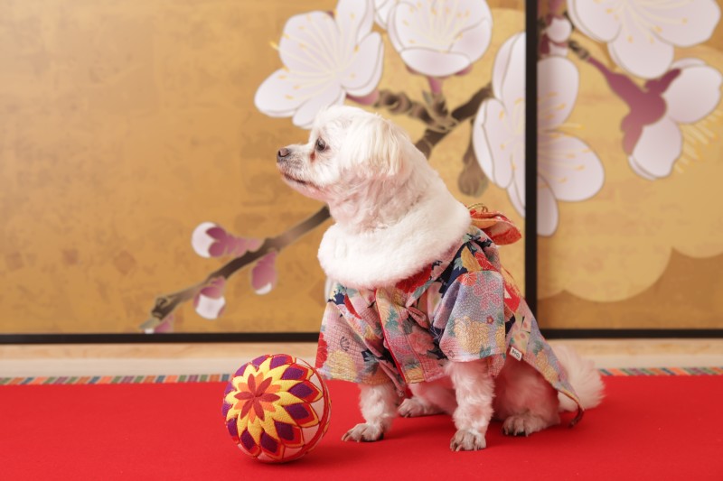 私中心の撮影会ヨ♪