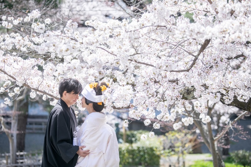 見つめ合いながら