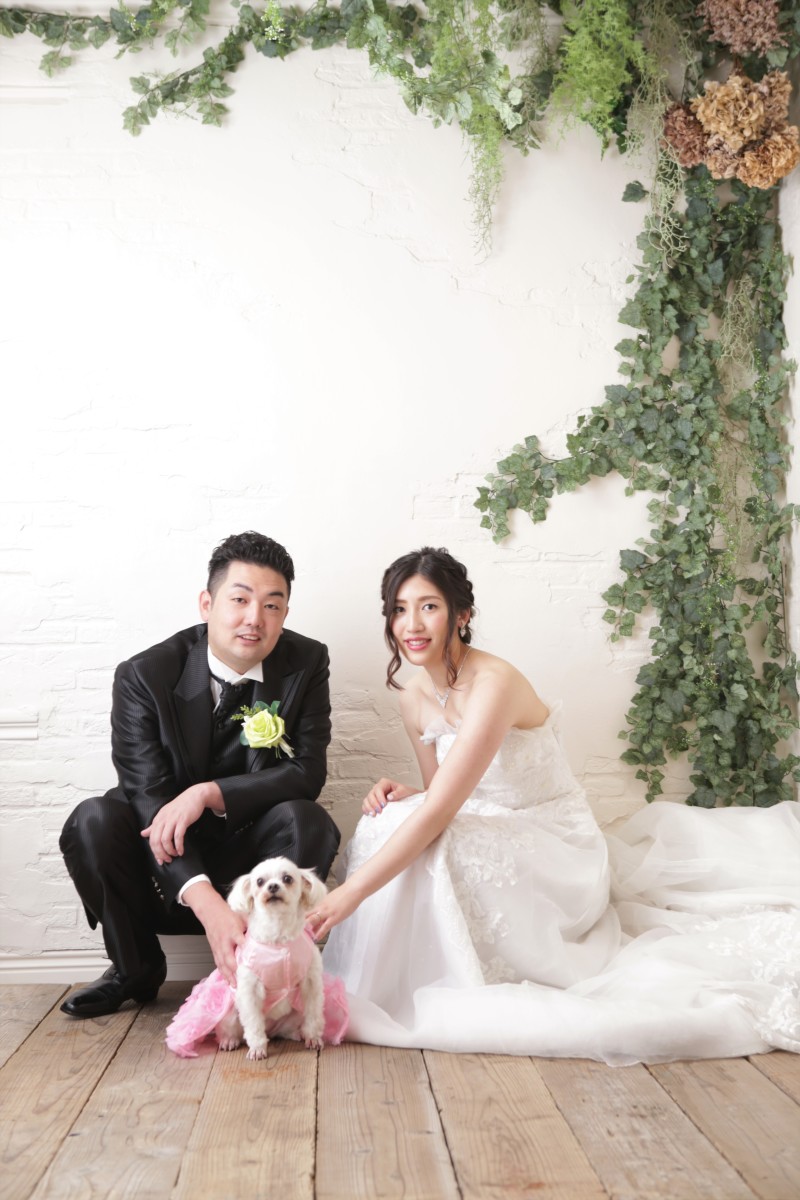 おりこうだワン♪