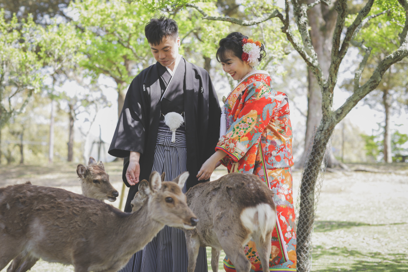 奈良公園 ロケーション撮影