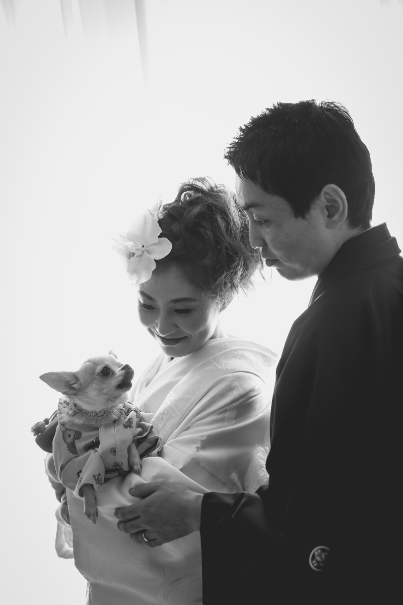 ワンちゃんと一緒！！