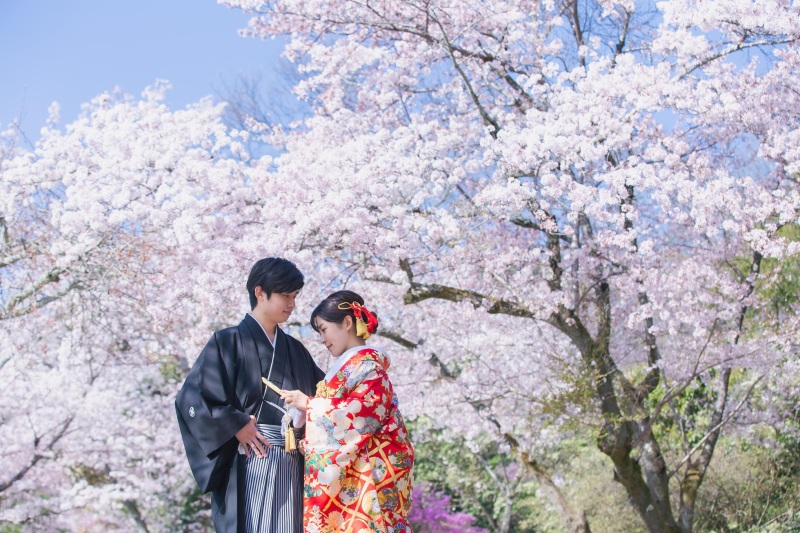 嵐山桜ロケーション撮影