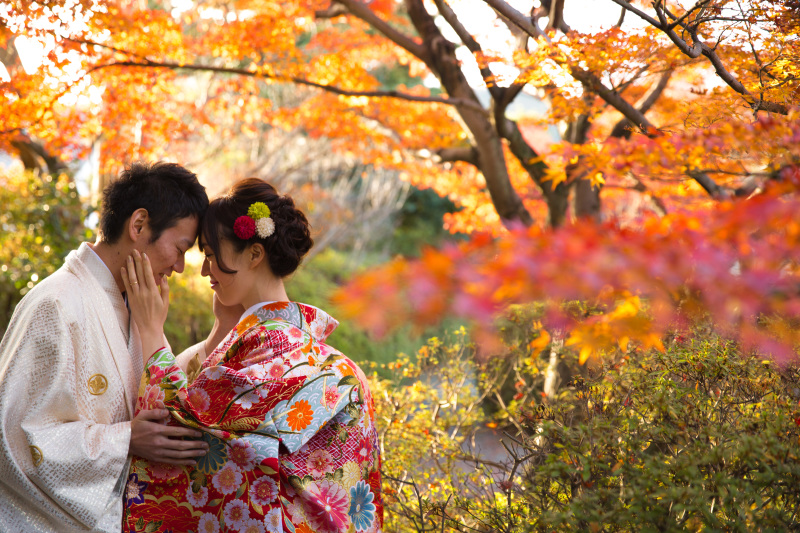 きれいな紅葉と