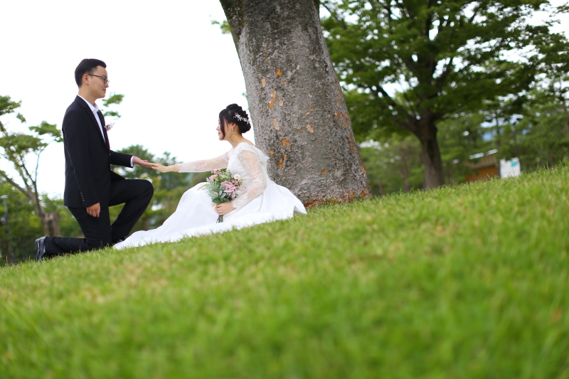 １枚の絵のように