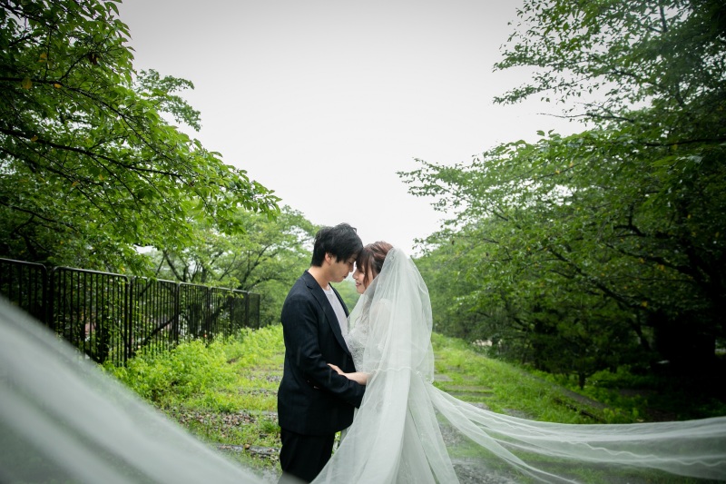 ロングベールショット