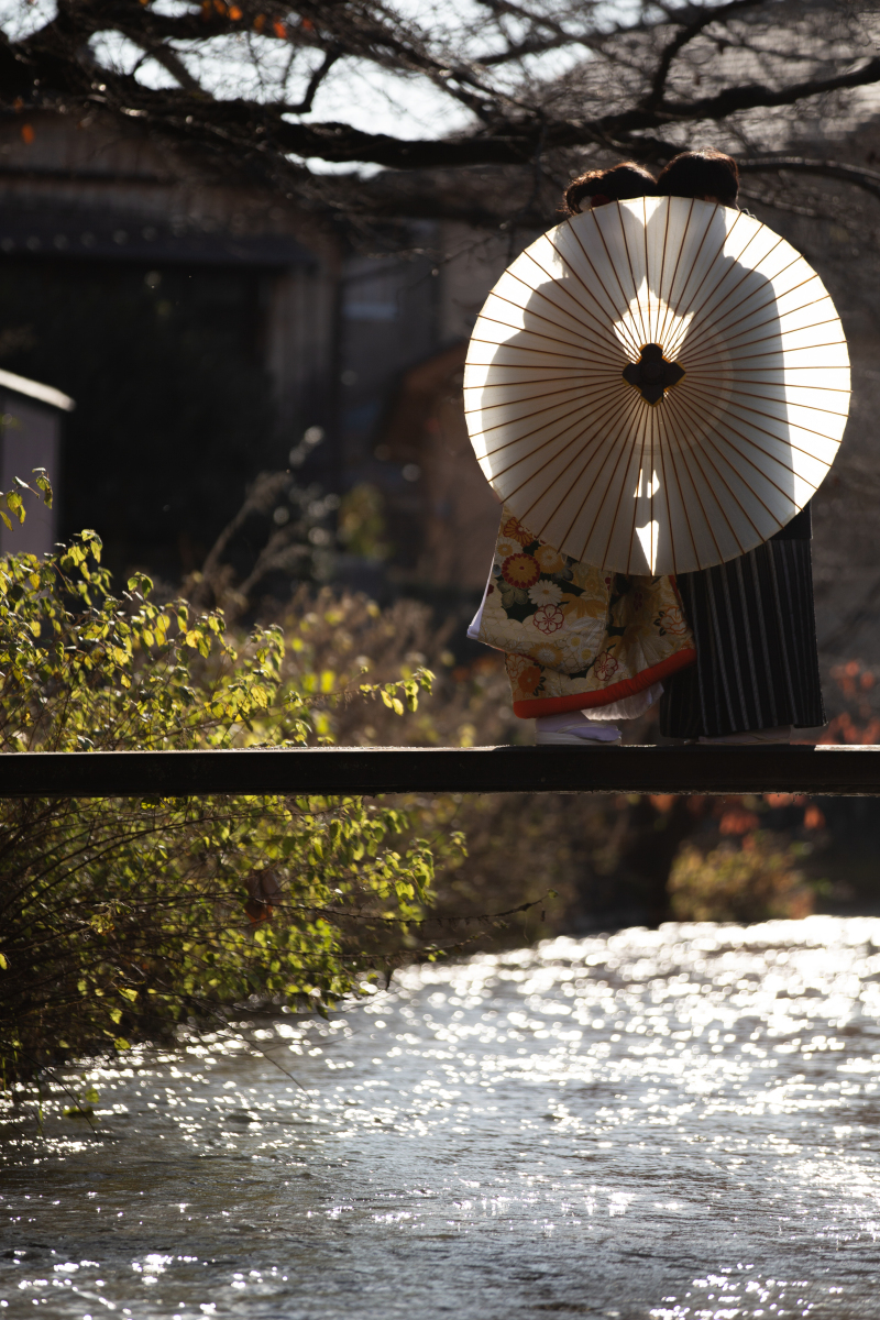 岡崎周辺水路もっこ橋