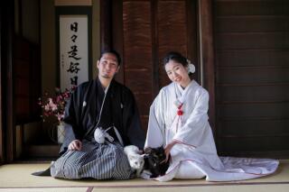 ペットと一緒プラン・データ50カットプラン＋衣装・小物セレクト制限なし◇データ３日で納品、ペット撮影参加料金、美肌補正料金込み！