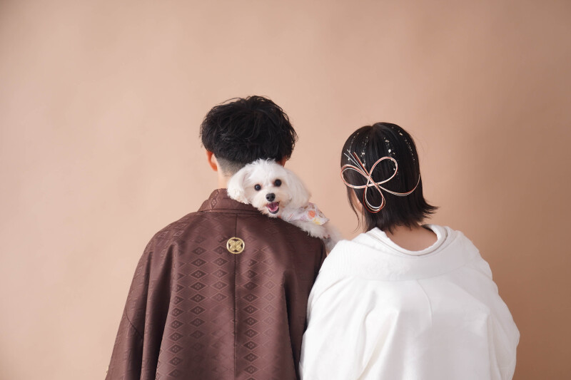 ペットと一緒プラン・データ50カットプラン＋衣装・小物セレクト制限なし◇データ３日で納品、ペット撮影参加料金、美肌補正料金込み！