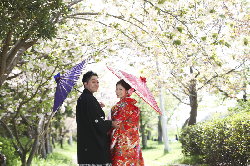 桜の下でのロケーション撮影!