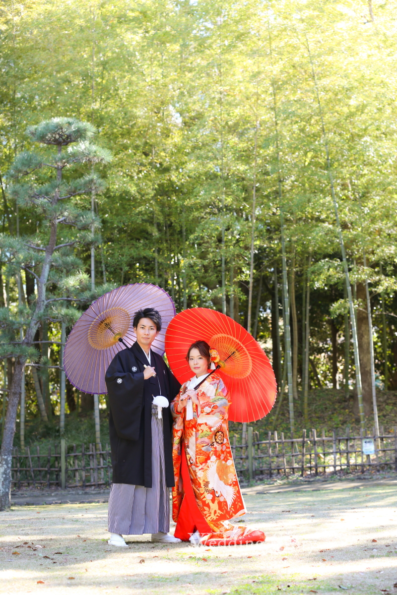 こんなシーンも!