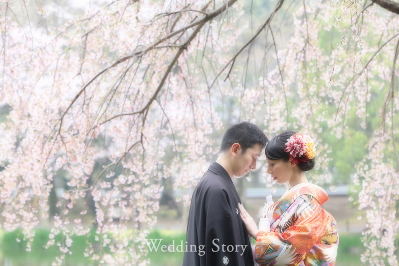 当店に決めたポイント...