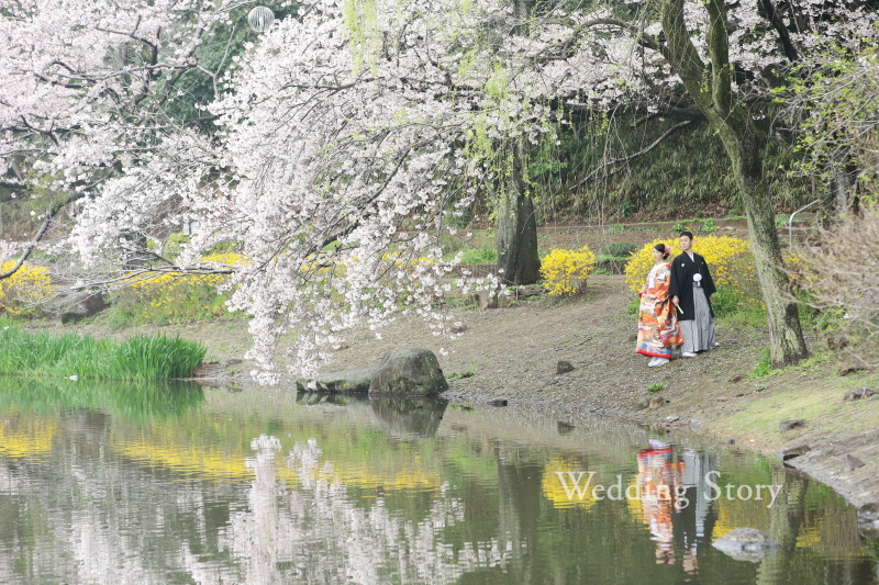ご希望の桜でロケ撮影♪