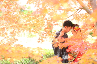 紅葉の花田苑 撮影日 17年11月29日 純日本庭園 花田苑 Wedding Story 松戸店 千葉県でフォトウェディング探すならphotorait 紅葉の花田苑 撮影日 17年11月29日 純日本庭園 花田苑 Wedding Story 松戸店 千葉県でフォトウェディング探すならphotorait