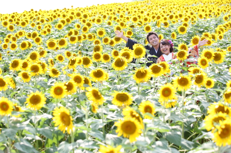 チームワーク!!