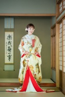 色打掛１０９番・クリーム系