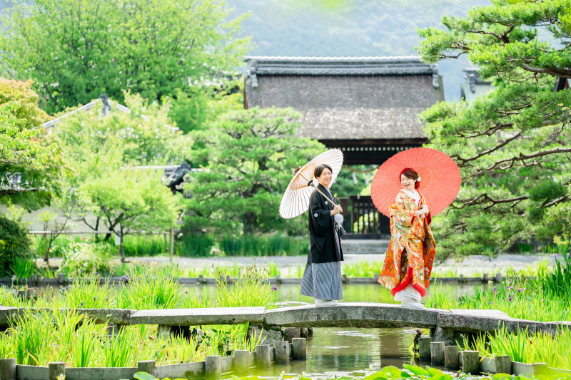 緑が綺麗なロケーション
