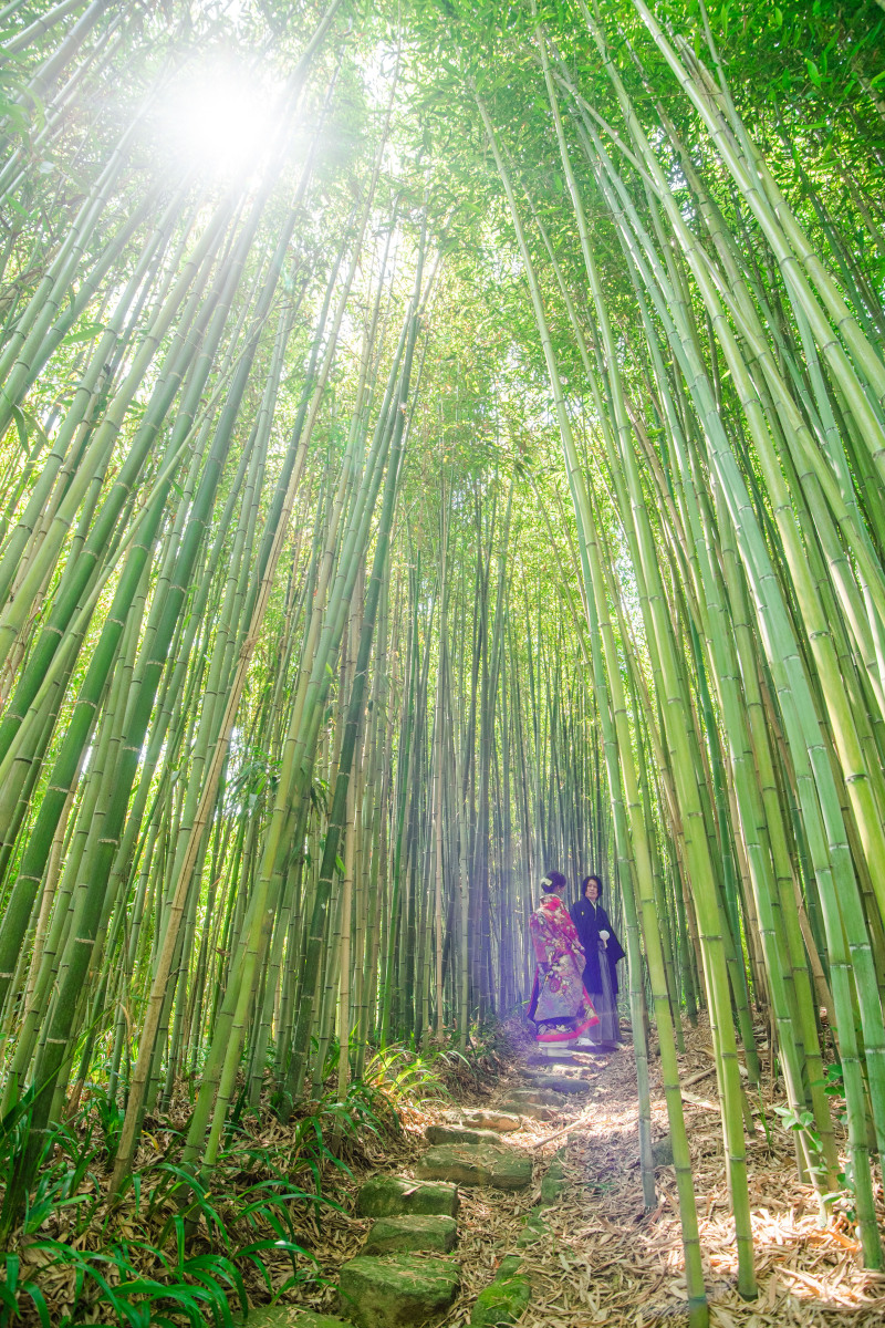 光の差し込む日