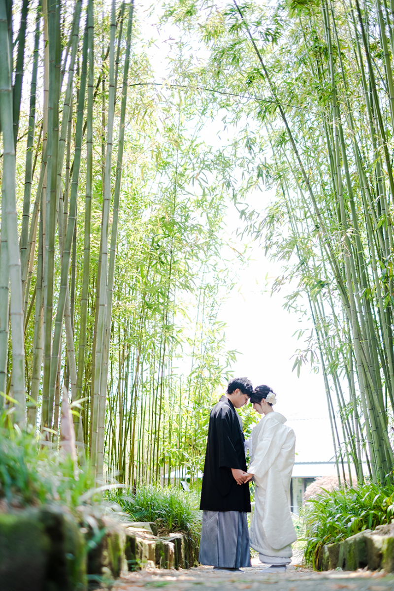 日差しを遮る大きな竹