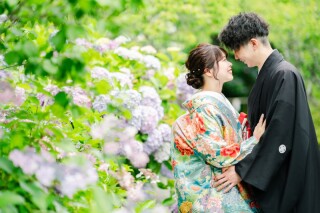 梅宮大社で紫陽花と