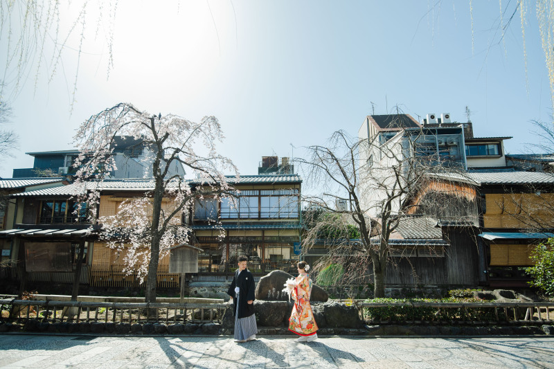 咲いてました！