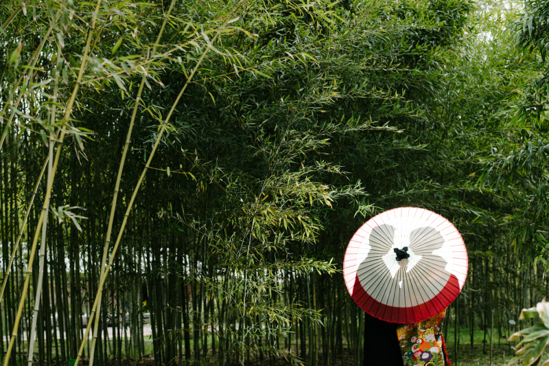 竹と和装