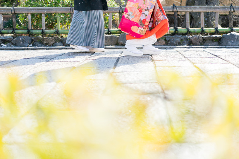 イメージカット